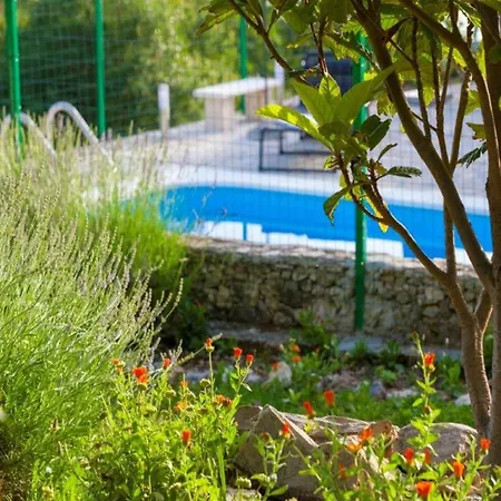 Vila In With Pool Near Seabeach